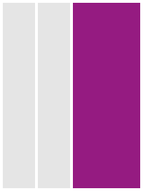 96 x 264 mm